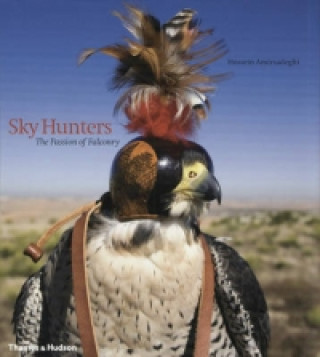 Carte Sky Hunters Hossein Amirsadeghi