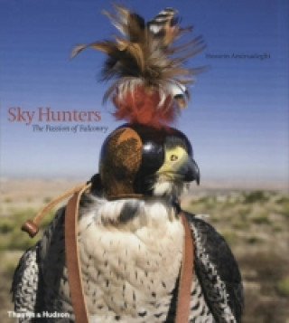 Książka Sky Hunters Hossein Amirsadeghi