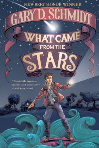 Könyv What Came from the Stars Gary D. Schmidt