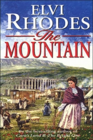 Könyv Mountain Elvi Rhodes