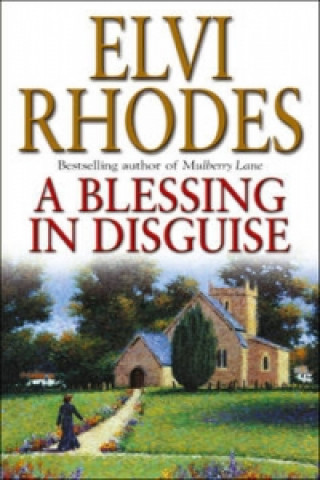 Livre Blessing In Disguise Elvi Rhodes