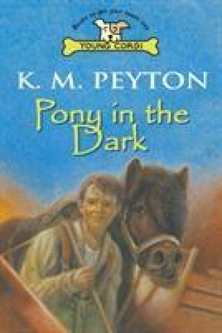 Kniha Pony In The Dark K M Peyton