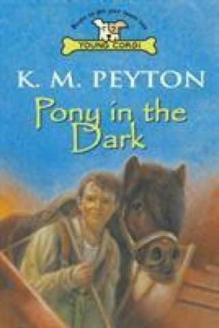 Könyv Pony In The Dark K M Peyton