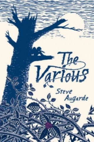 Buch Various Steve Augarde