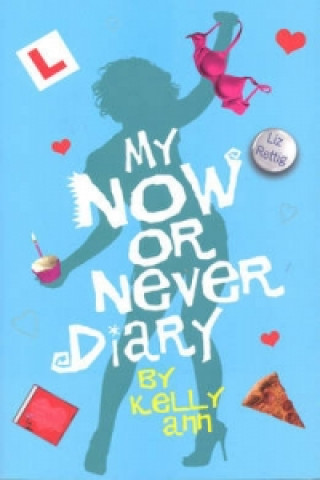 Kniha My Now or Never Diary Liz Rettig