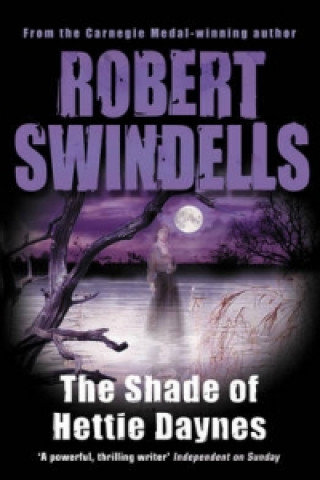 Kniha Shade of Hettie Daynes Robert Swindells