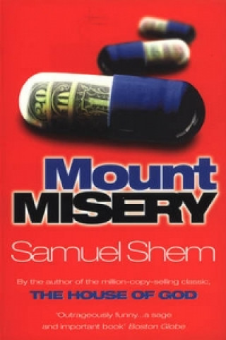 Kniha Mount Misery Samuel Shem