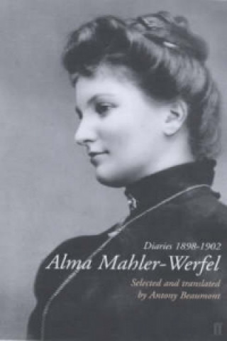 Könyv Alma Mahler-Werfel: Diaries 1898-1902 Alma Mahler-Werfel