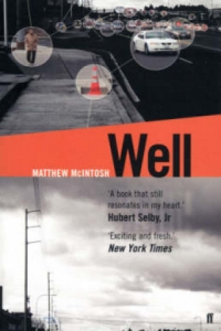Kniha Well Matthew McIntosh