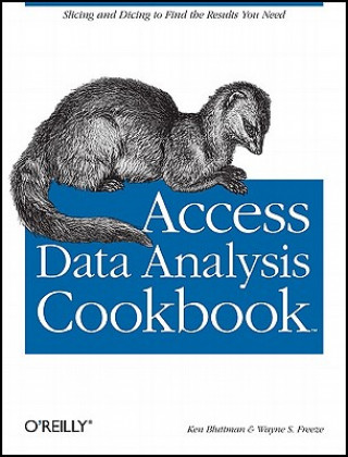 Book Access Data Analysis Cookbook Ken Bluttman