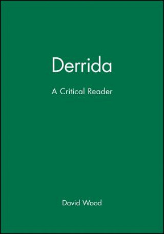 Książka Derrida: A Critical Reader David Wood