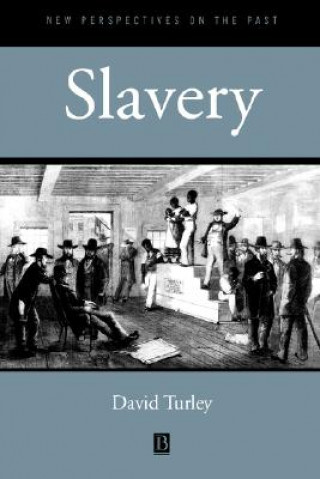 Kniha Slavery David M Turley