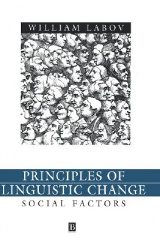 Buch Principles of Linguistic Change Volume Two: Social  Factors William Labov