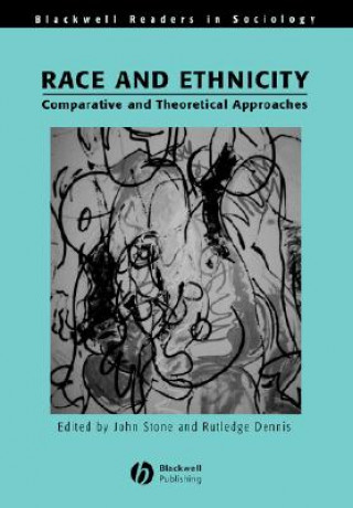 Kniha Race and Ethnicity - Comparative and Theoretical Approaches Stone