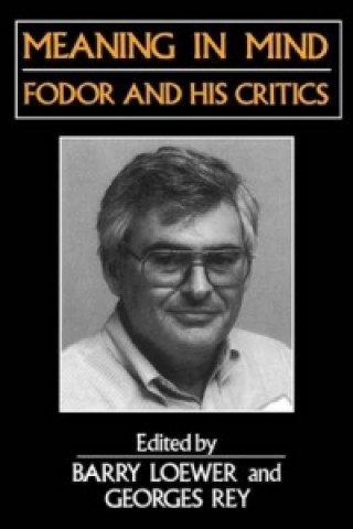 Knjiga Meaning in Mind - Fodor and His Critics Barry Loewer