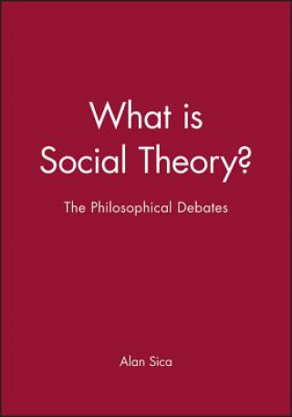 Book What is Social Theory?: The Philosophical Debates Sica