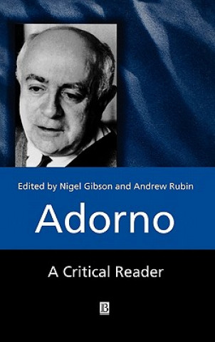 Buch Adorno: A Critical Reader Gibson