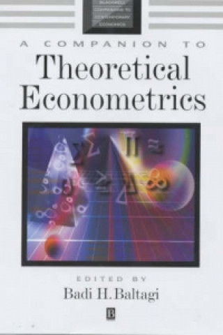 Könyv Companion to Theoretical Econometrics Baltagi