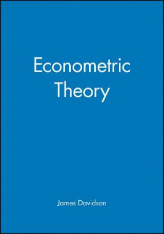 Kniha Econometric Theory James Davidson