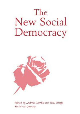 Knjiga New Social Democracy Gamble