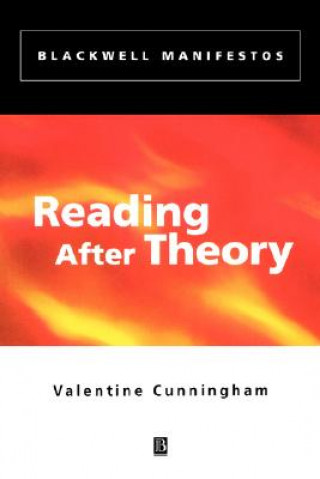 Kniha Reading After Theory Valentine Cunningham