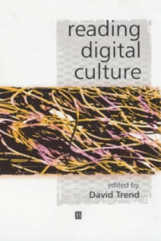 Kniha Reading Digital Culture David Trend