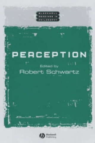 Kniha Perception Robert Schwartz