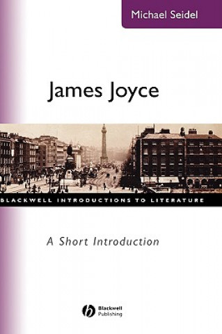 Knjiga James Joyce Michael Seidel