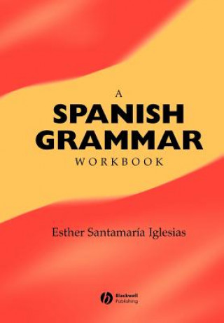 Kniha Spanish Grammar Workbook Esther Santamaria Iglesias