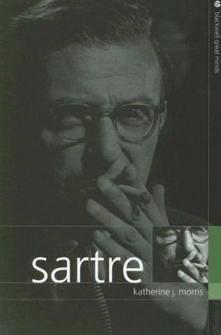 Книга Sartre Katherine Morris