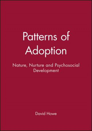 Kniha Patterns of Adoption David Howe