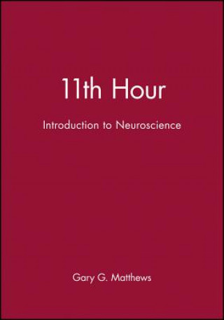 Könyv 11th Hour: Introduction to Neuroscience Matthews