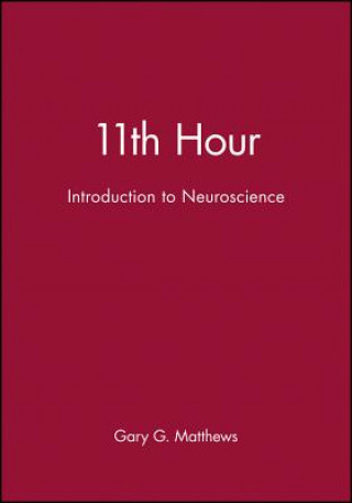 Książka 11th Hour: Introduction to Neuroscience Matthews