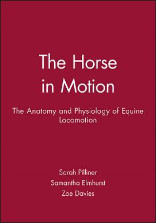 Kniha Horse in Motion Sarah Pilliner