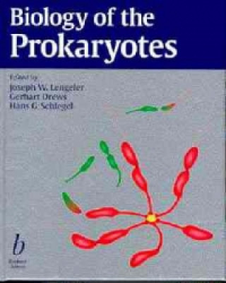 Könyv Biology of the Prokaryotes 