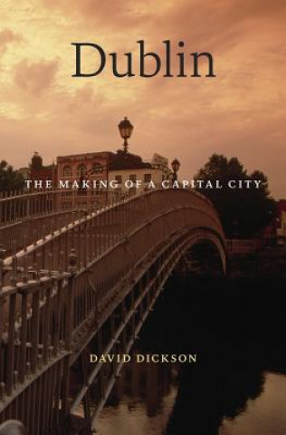 Knjiga Dublin David Dickson