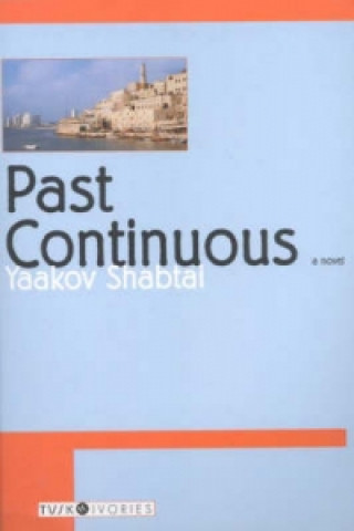 Könyv Past Continuous Yaakov Shabtai