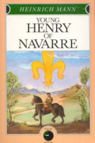 Buch Young Henry of Navarre Heinrich Mann