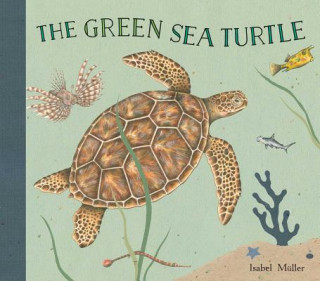 Kniha Green Turtle Isabel Muller