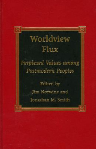 Книга Worldview Flux Jonathan M. Smith