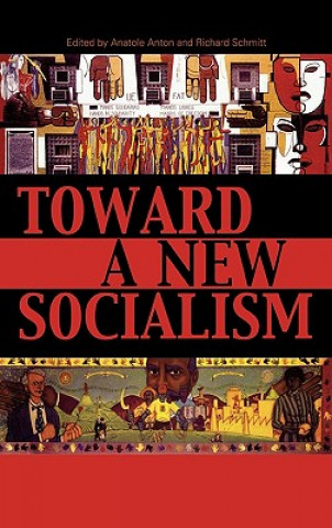 Libro Toward a New Socialism Anatole Anton