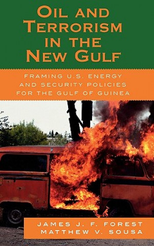 Kniha Oil and Terrorism in the New Gulf Matthew V. Sousa