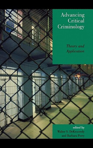 Книга Advancing Critical Criminology Walter Dekeseredy