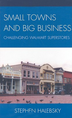 Kniha Small Towns and Big Business Stephen Halebsky