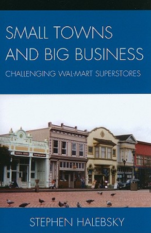 Kniha Small Towns and Big Business Stephen Halebsky