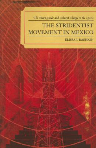 Könyv Stridentist Movement in Mexico Elissa Rashkin