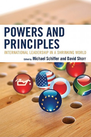 Book Powers and Principles Michael Schiffer