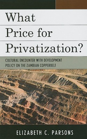 Kniha What Price for Privatization? Elizabeth C. Parsons