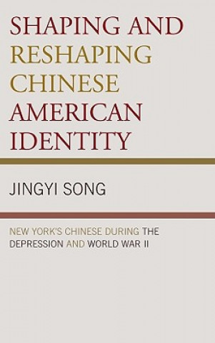 Kniha Shaping and Reshaping Chinese American Identity Jingyi Song