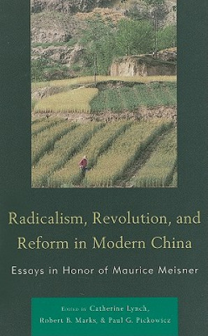 Książka Radicalism, Revolution, and Reform in Modern China Catherine Lynch